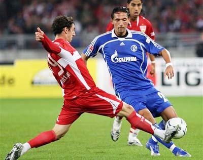 但这一关系 但这一关系