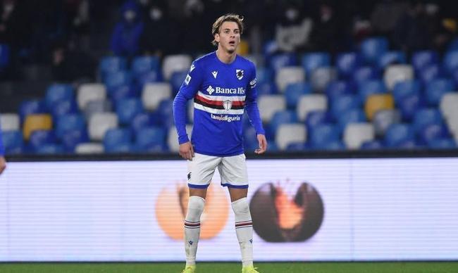 极有可能在 极有可能在